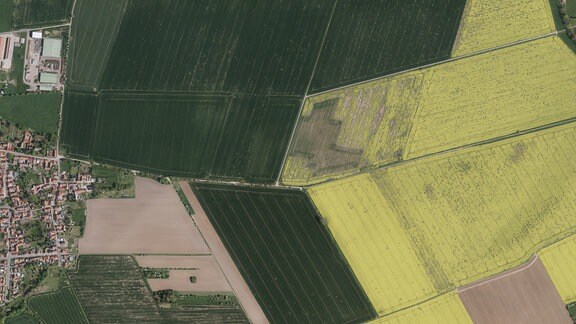 Luftbildaufnahme von Bufleben