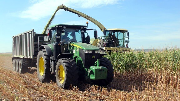 Erntemaschinen auf Maisfeld