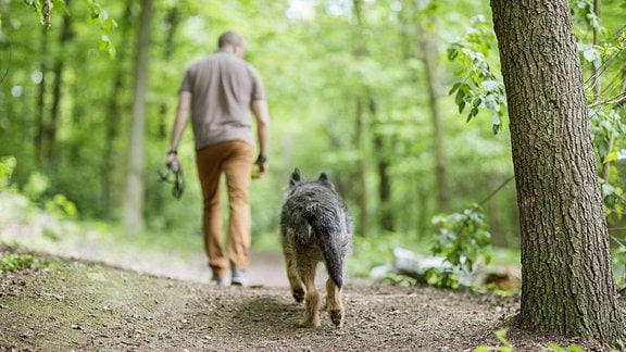 Ein Mann geht mit einem Hund im Wald spazieren
