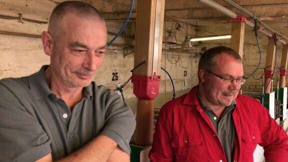 Zwei Bauern gucken in den Stall.