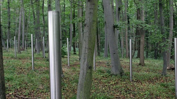 Metallstelen im Wald markieren die Massengräber. 