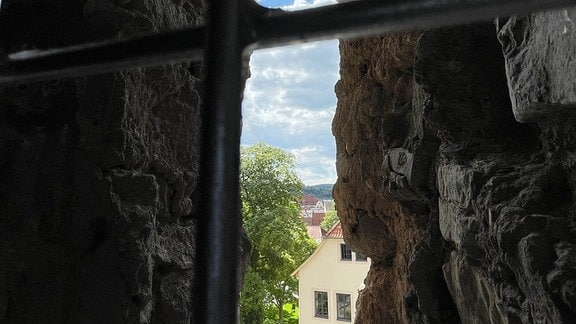 Ein Riss in einer Mauer ist durch ein Gitter zu sehen.