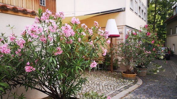 Zwei Blumentöpfe mit Oleander und eine übergroße Lampe zieren den Eingang zum Hof des Café Füchsen.