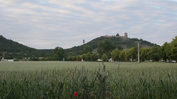 Ein Getreidefeld über dem die Burg Gleichen thront. 