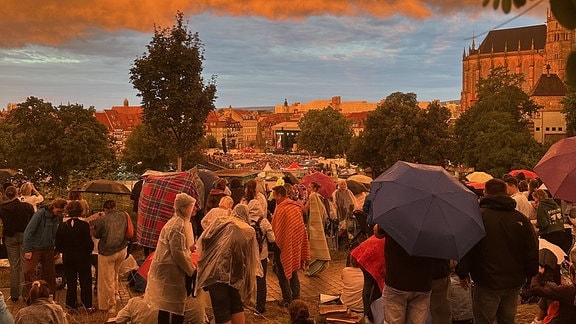 Menschen stehen mit Regenschirmen auf dem Petersberg und blicken auf das Clueso-Lonzert auf dem Domplatz