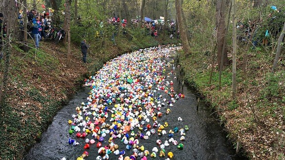 Hunderte bunte Badeenten auf Fluss in Erfurt