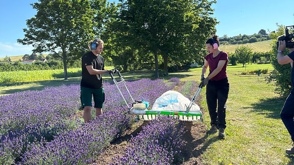 Mann und Frau durchstreifen das Feld mit einer speziellen Maschine