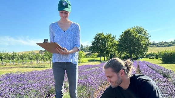 Ein Mann hockt im Lavendelfeld und misst. Eine Frau steht daneben und schreibt sich die Daten auf.