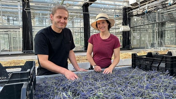 Ein Mann und eine Frau stehen an einem Tisch mit getrocknetem Lavendel