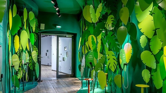 In einem Ausstellungsraum ist ein Dschungel nachgebaut.