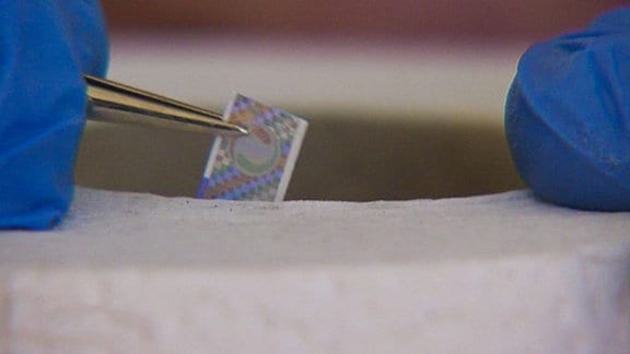 Ein Chip wird mit einer Pinzette in eine Klopapierrolle eingesetzt