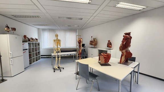 Ein Raum mit medizinischen Modellen des menschlichen Körpers.
