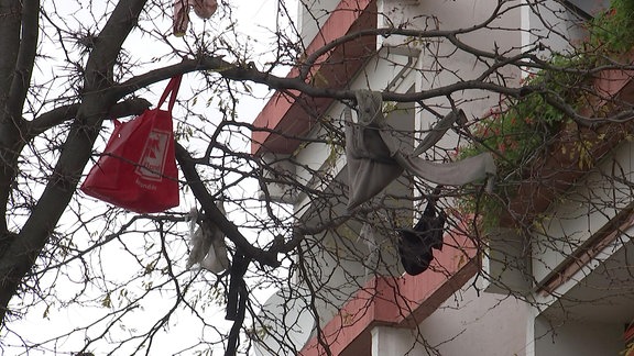 Müll hängt am Baum vor einem Wohnhaus