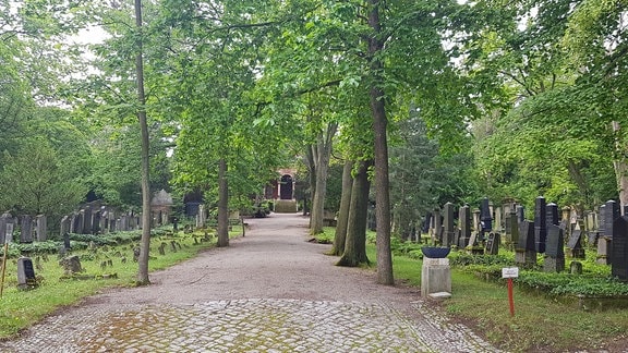 Ein Weg zwischen Gräbern auf dem Neuen Jüdischen Friedhof in Erfurt (2020)