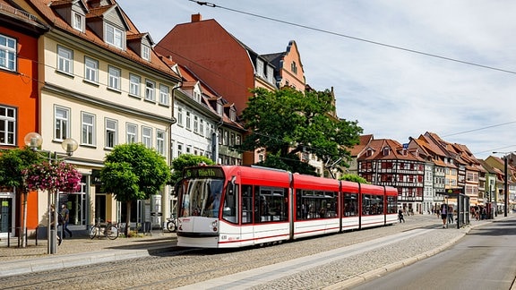  Straßenbahn der Evag am Domplatz in Erfurt