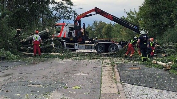 Feuerwehrmänner befreien eine Straße von einen umgefallenen Baum.
