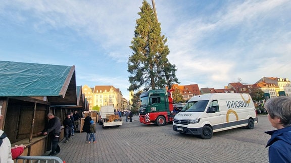 ein Kran stellt einen Weihnachtsbaum auf, viele Menschen schauen zu