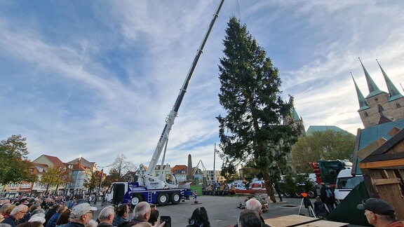 ein Kran stellt einen Weihnachtsbaum auf, viele Menschen schauen zu