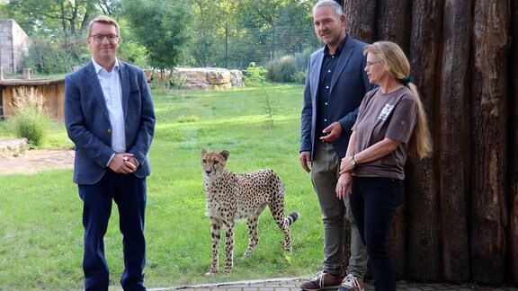  Foto vom neuen Erfurter Zoodirekt, dem Dezernenten der Stadt Erfurt und der kommissarischen Zoodirektorin mit einem Geparden vor dessen Gehege.