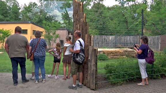 Menschen stehen vor einem Zoogehege.