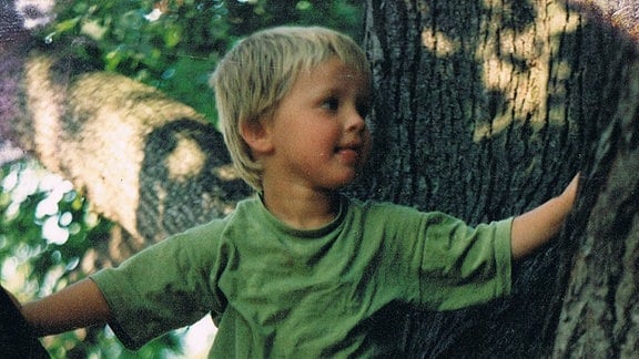 Ein kleiner Junge klettert in einem Baum. 