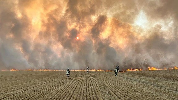 Feuerwehrleute löschen einen Feldbrand im Kreis Sömmerda