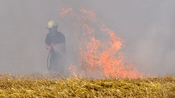 Ein Feuerwehrmann löscht zwischen Hedersleben und Heteborn einen Feldbrand. Die lang anhaltende Trockenheit hat die Böden ausgedorrt so dass feldbrände schön durch einen einzigen Funken entstehen können.