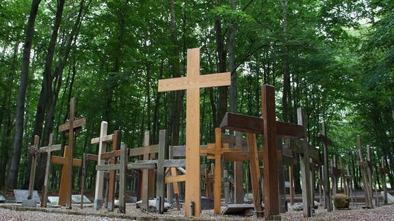 Holzkreuze stehen auf dem Areal des ehemaligen sowjetischen Speziallagers Nr. 2 in Buchenwald bei Weimar (Thüringen)