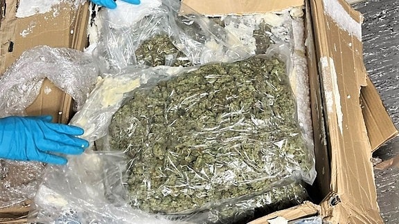 In einem Paket liegen mehrere Tüten, gefüllt mit Cannabis.