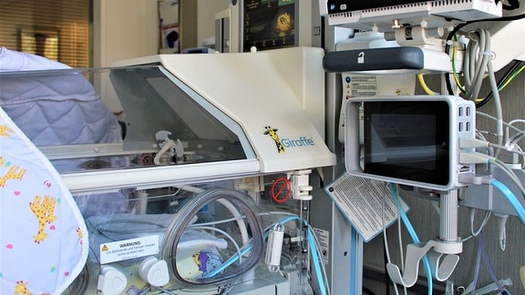Blick auf einen leeren Inkubator.