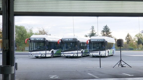 Drei Busse zeigen auf ihren Anzeigetafeln "Wir fahren ab auf Wasserstoff!"