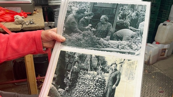 Eine Frau zeigt ein Fotoalbum mit alten Zwiebelmarkt-Bildern.