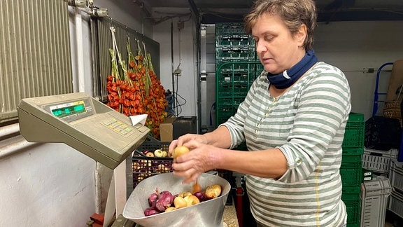 Ines Pfau füllt die frischen Zwiebeln in Säcke ab