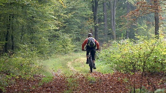 Ein Mann fährt auf einem herbstlichen Waldweg Mountainbike.