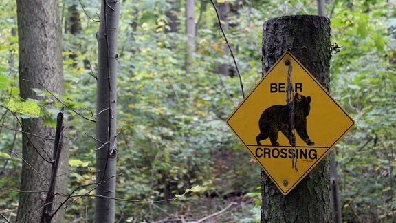 Ein Schild weist auf Bären hin