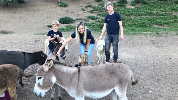Eine Familie steht hinter drei Mini-Eseln.