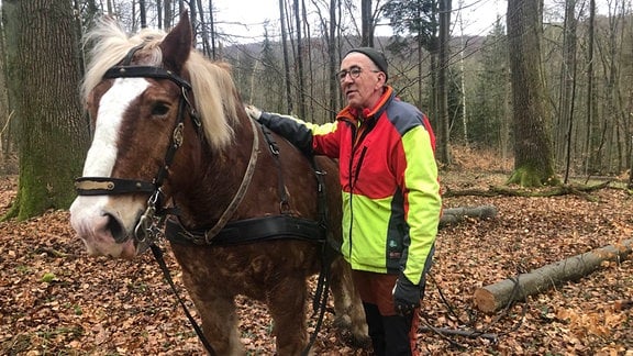 Ein Mann neben einem Pferd im Wald.
