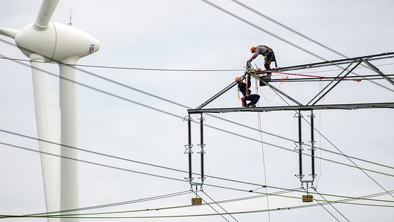Mitarbeiter von 50 Hertz stehen bei der Wartung einer 220-kV-Freileitung auf den 26 Meter hohen Einebenenmasten bei Kleinfurra.