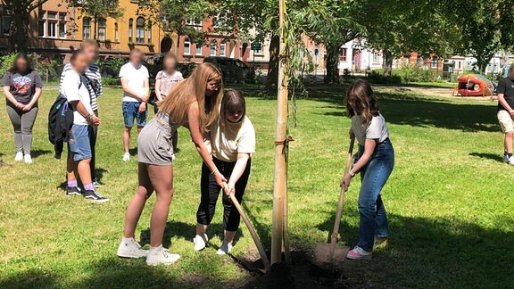 Schülerinnen pflanzen eine Trauerweider ein.