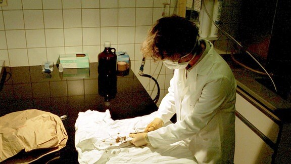 Kriminalistin des Landeskriminalamtes Nordrhein-Westfalen während der Spurensicherung im Labor