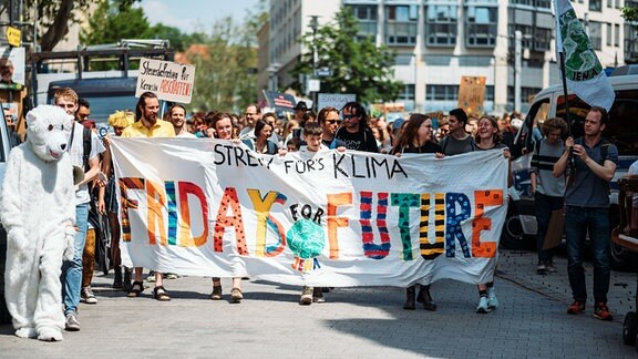 Fridays for Future Klimastreik Demo, 2019 in Lena