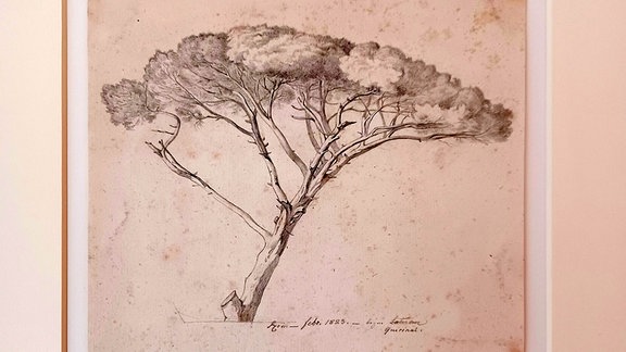 Zeichnung eines Baumes