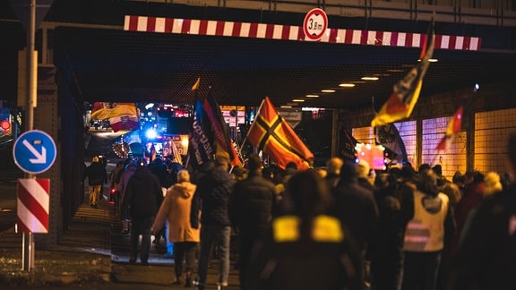 Demonstranten mit verschiedenen Fahnen auf einer Straße.