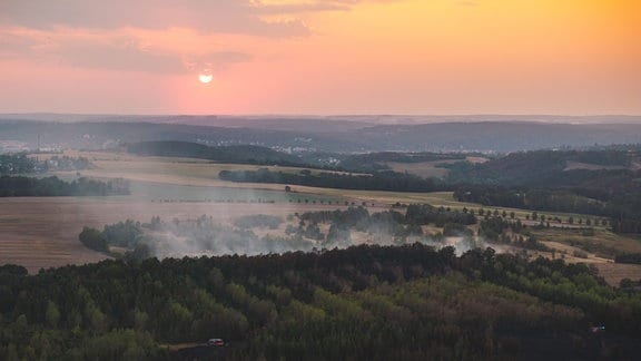 Rauch über einem abgebrannten Waldstück.