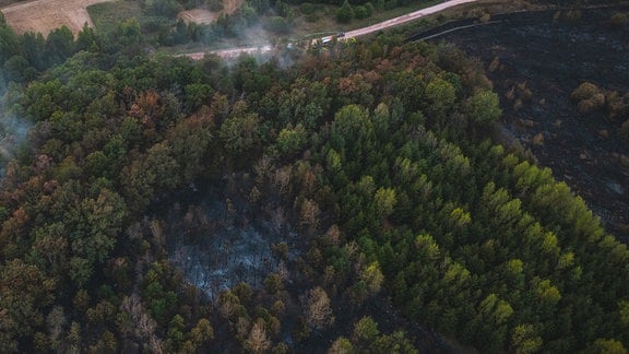 Rauch über einem abgebrannten Waldstück.