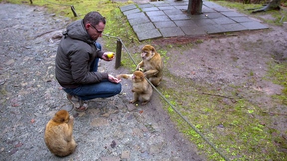 Tierpark-Chef Florian Weise füttert Affen