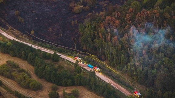  Einsatzwagen der Feuerwehr stehen auf einem Feldweg nahe eines Wald- und Wiesenbrandes.