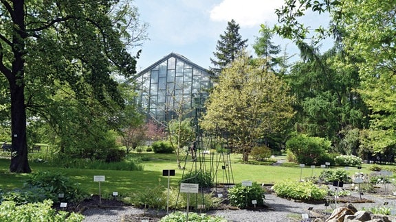 Ein Blick in den Botanischen Garten Jena.