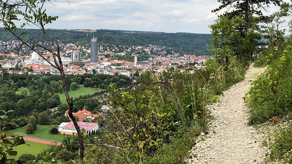 Die Stadt Jena von oben, davor ein Wanderweg.