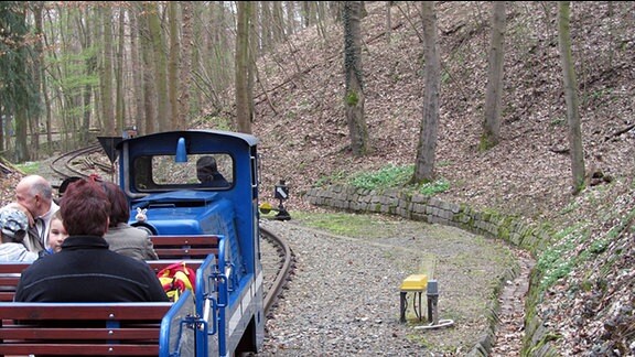 Ein Zug der Parkeisenbahn Gera fährt durch einen Wald. Der Zug wird von einer blauen Lok gezogen, in einem offenen Waggon dahinter sitzen mehrere Personen.